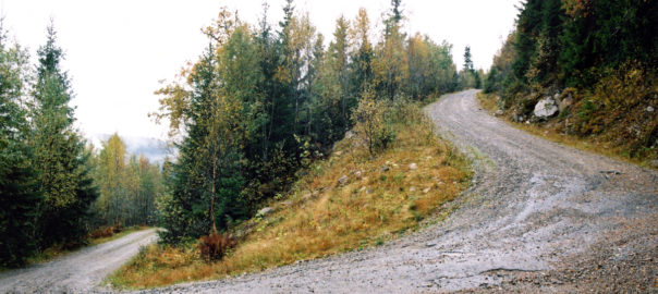 Picture of a winding forest road