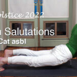 108 Sun Salutations for Ever'y Cat