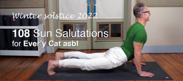Image of Sun Salutation