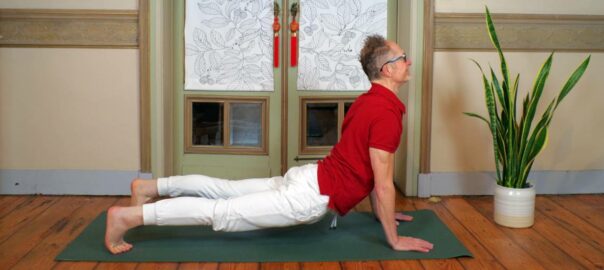 Picture taken from a Sun Salutation