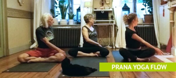 Picture of a Prana Yoga Flow class