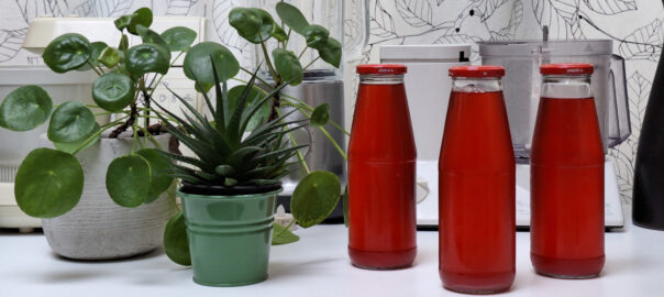 Three bottles of kombucha on a desk