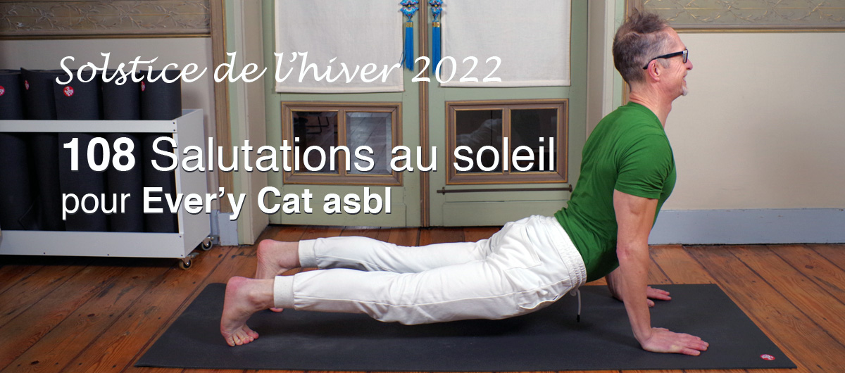 108 Salutations au soleil pour Ever'y Cat