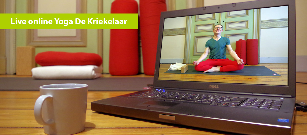 Prana Yoga online De Kriekelaar dinsdag