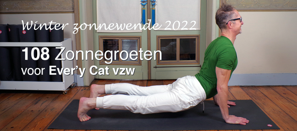 108 zonnegroeten voor Ever'y Cat