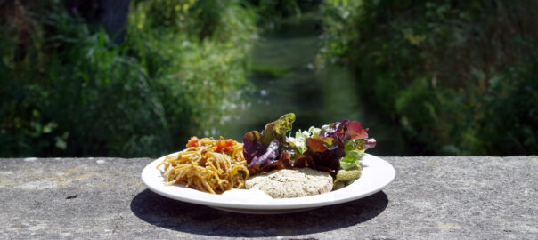 foto van vegan maaltijd in zonnig landschap