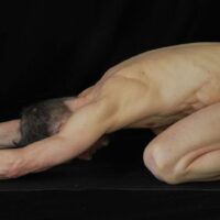 Naaktyoga voor Mannen Zomer 2025