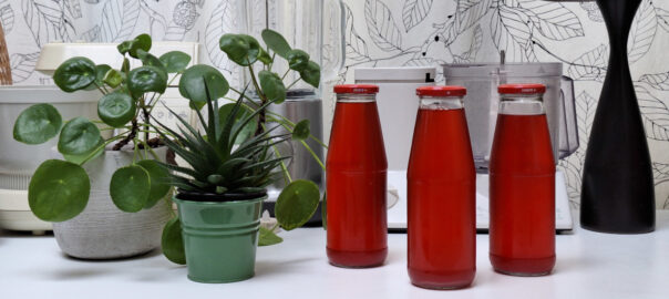 Foto van 3 flessen kombucha